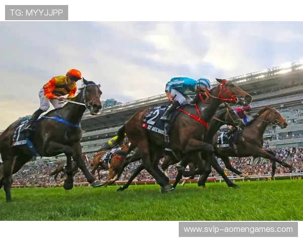 hkjc中文站：香港赛马会中文官方网站的重要特色及其为香港博彩业带来的影响